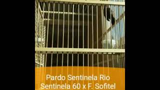Sofitel 167 4meses
