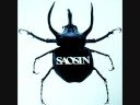 Why Can't You See - Saosin