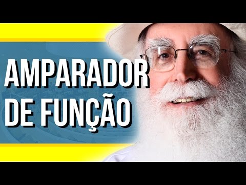 Waldo Vieira - Amparadores: Quem É O Amparador De Função? | #Conscienciologia