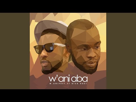 W'ani Aba (feat. Bisa Kdei)