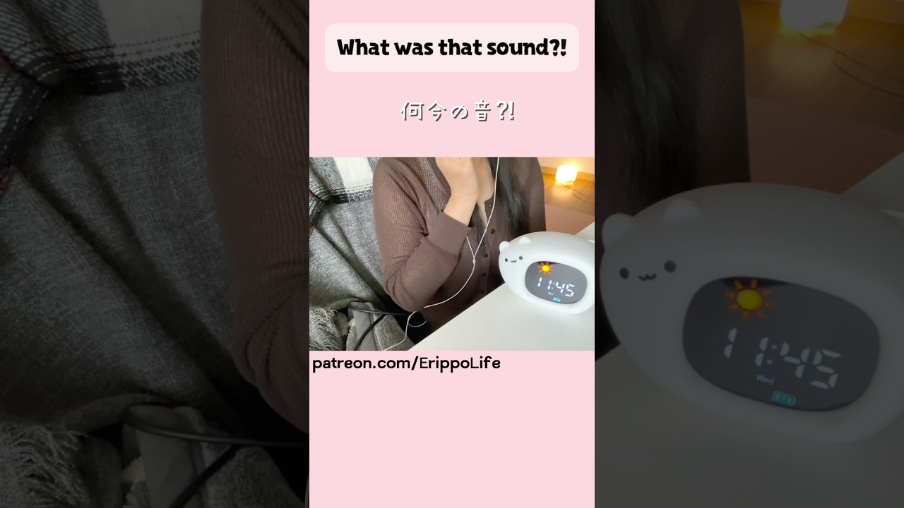 Quack quack🦆グワッグワッ🦆💕