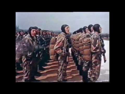 Various-  Armádě zdar