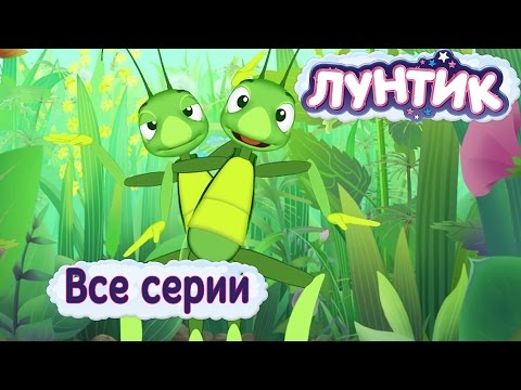 Лунтик Новогодний Сборник Лунтик Новогодний Сборник