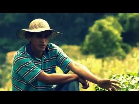Territorio Verde - Del ácido del maracuyá al dulce de las pulpas y la caña (Dabeiba) - YouTube