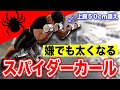 【二頭を超デカくする】スパイダーカールのやり方を教えます。