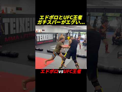 エドポロキングとUFC王者のガチスパーがエグい…。#ブレイキングダウン #rizin #エドポロキング
