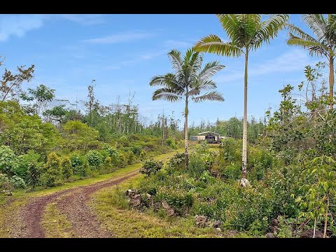 Hawaiian Farm on 3 Acres - MLS #653553