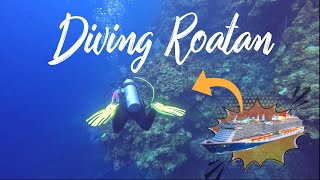 Massive Wall Dive | Roatan Honduras | Scuba Diving | Carnival Celebration Cruise | Mahogany Bay