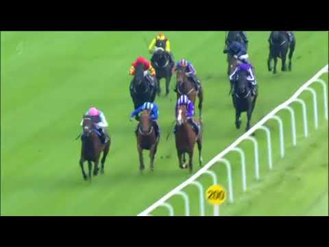 Khalid Abdulla's Top 20 Racehorses