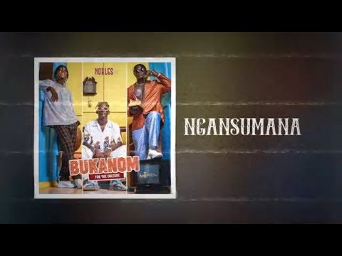 NOBLES GAMBIA - NGANSUMANA