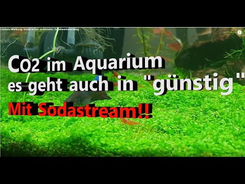 CO2 Anlage Aquarium (Sodastream) nur in "günstig" Marke "Eigenbau". So wird's gemacht...Teil 1/3