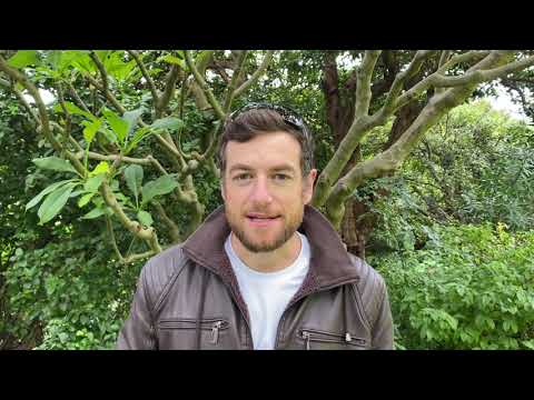 Support our Run Against Violence Fundraiser 2023