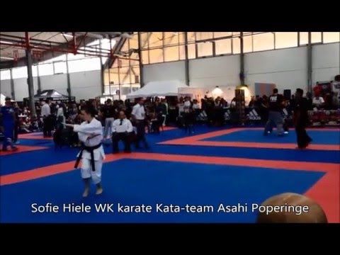 Sportjaaroverzicht Ieper 2013 (kampioenen)