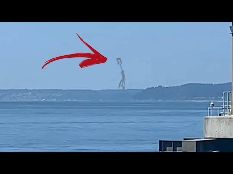 Traffic light head creature Monster sighting in real life