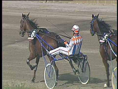 Trotto 24/03/2017 - 2ª corsa