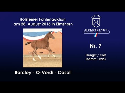 Holsteiner Fohlenauktion 2016 in Elmshorn - Nr. 07 v. Barcley - Q-Verdi