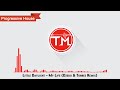 Little Daylight - My Life (Dzeko & Torres Remix ...