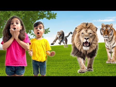 Educational Video for Kids | Big Wild Cats adventure by Atrin and Soren | ZOO Animals for kids