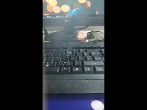 How to use--Blitz Ivo RTA