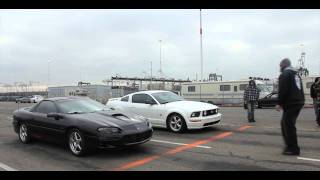 Savage Habits - Sunday Funday