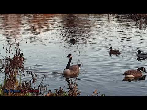 Eindhoven - Short Tour Through Nature - TRAVEL GUIDE 4K UHD - NETHERLANDS