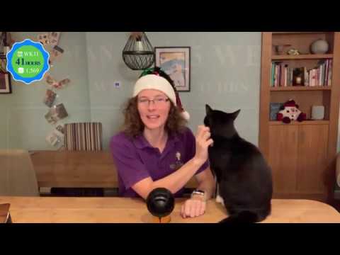 Taking time out from your language learning!  (German in 25 Weeks)