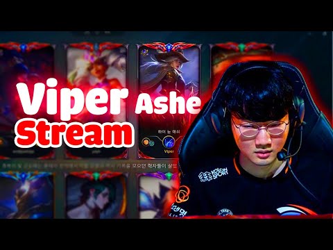 Viper Stream | Proview HLE Viper Ashe vs Kaisa Challenger