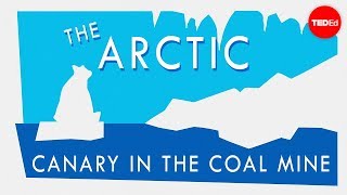 Why the Arctic is climate change’s canary in the coal mine – William Chapman