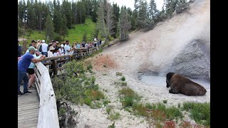 2023 Yellowstone National Park trip
