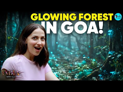 Elli Discovers AVATAR Like Glowing Forests In Goa!  | India With Elli S5 E5 @curlytalesdigital 