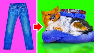 21 EASY PET CRAFTS YOU'D ACTUALLY LOVE TO MAKE