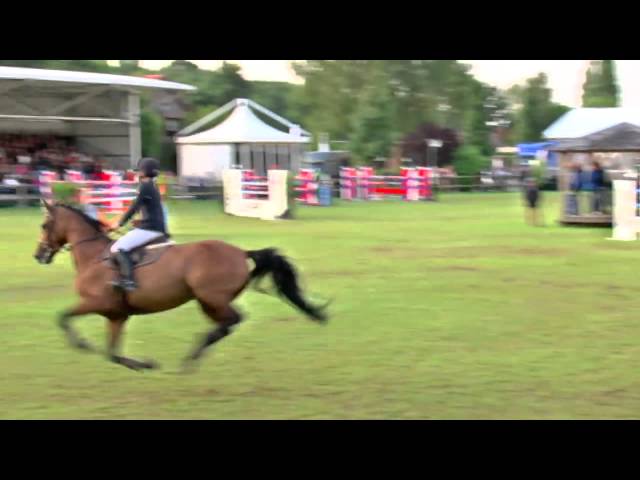 Full-sister of the mother is the CSI 1.60m jumping mare Bulena with rider Sanne Thijssen.
