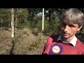 Ecoloog: 'Dit bos is niet meer te redden'
