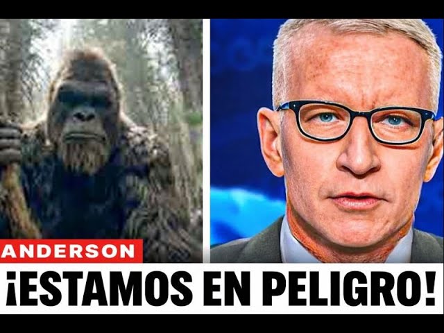 Vídeo relacionado con Misterioso Bigfoot Van Gogh Pueblo Nocturno Estrellado pacífico Sudadera con Capucha