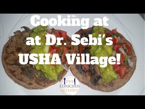 Ty's Conscious Kitchen Cooking At Dr. Sebi's Usha Village Vlog #2