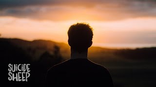 WDL - Cashmere (feat. Roads)