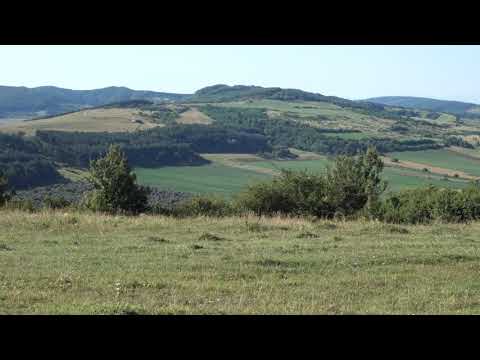 Senereuș - Zendrisch - Zendersch - Felldorf - Filitelnic #romania #travel #nature #vlog