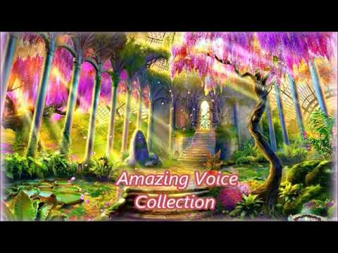 Amazing Voice Collection / The Sally Gardens // Calum Malcolm // Irish Folk Music