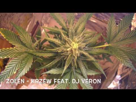 Zolen - Krzew feat. Dj Veron (prod. Zolen)