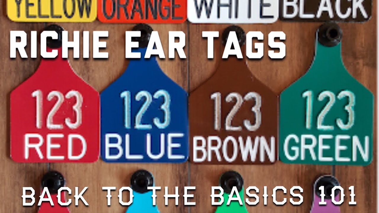 Richie, Livestock Ear Tag ID.