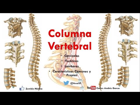 Cosa fare con il dolore di schiena e gambe Fluido e larticolazione del ginocchio è