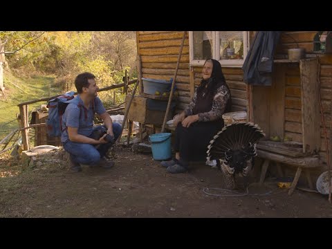 Maria Zăican - Întoarcerea