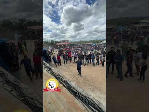 🎶🐂 A Festa dos Carreiros, no Parquedo Carro de Boi, em Inhapi-AL, foi um verdadeiro sucesso!