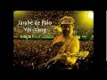 Jarabe de Palo - Yin Yang con letra