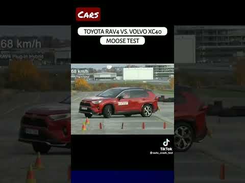 Thumbnail for Toyota RAV4 vs Volvo XC40 MOOSE TEST by Toyota, Toyota RAV4