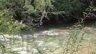 preview picture of video 'idyllic moment at the river Lauter in Wendlingen am Neckar, Germany'