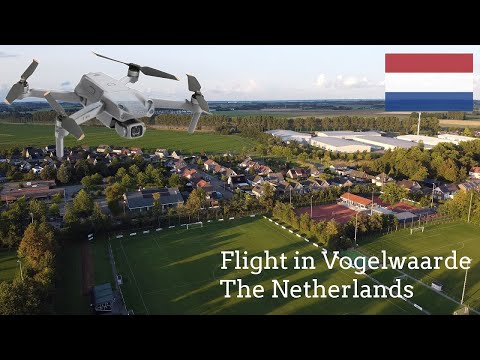 Flight in the village of Vogelwaarde - Province of Zeeland Netherlands