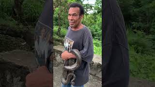Download lagu When visiting Saint Lucia you have to meet the snake man with his pet snake by the name of Jealousy. mp3