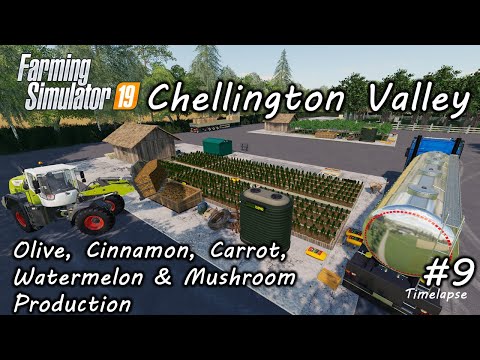 Olive Cinnamon Carrot Watermelon & Mushroom Production Chellington Valley Ep9 Farming Simulator 19