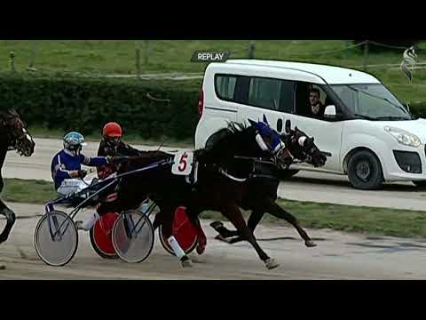 Aversa trotto 25 Febbraio 2023 - 3° Corsa